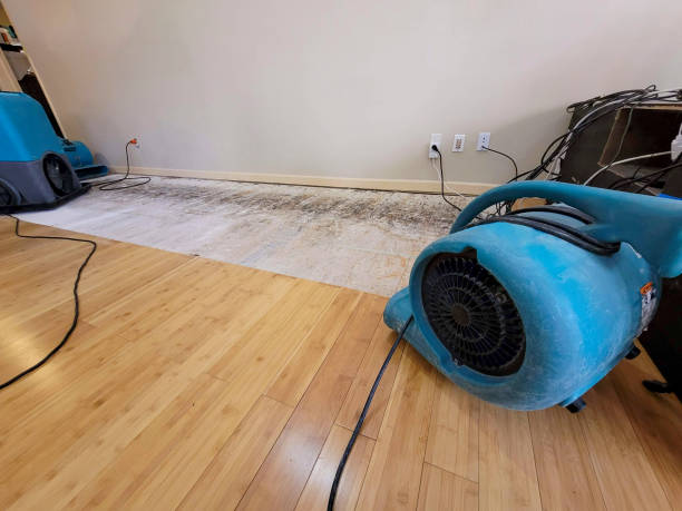 Professional Water Extraction technician working in Bowling Green, VA
